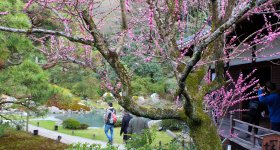 Shoren-in (Kyoto), Visiteuses en kimono traditionnel