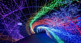 Illuminations nocturnes en hiver au parc Yomiuriland