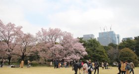 Etang et lanterne de pierre du jardin Ninomaru à Kokyo Higashi Gyoen, Tokyo