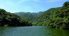 Iriomote (Yaeyama - Okinawa), croisière sur la rivière Urauchi