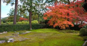 Entsu-ji (Kyoto), vue sur le jardin sec en automne