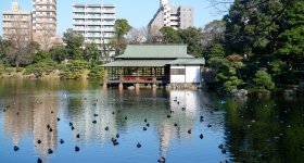 Kiyosumi Teien, chemin de pierre pas à pas Isowatari