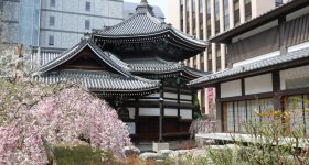 Rokkaku-do (Kyoto), pavillon hexagonal et cerisier pleureur au printemps