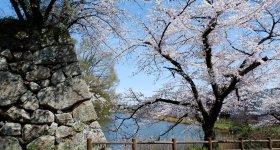 Château de Koriyama (Nara), vue panoramique depuis la plateforme d'observation de la base du donjon