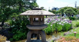  Horikiri Shobu-en (Tokyo), vue sur le jardin en période de floraison des iris (juin)