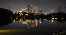 Hamarikyu Tsukimi Sanpo (Tokyo), vue nocturne sur le pont de l'étang Shioiri-no-ike et pin du Japon