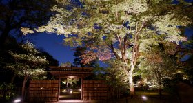 Illuminations automnales du Rikugi-en (Tokyo), vue nocturne du jardin japonais autour de l'étang principal