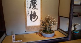 Nagahama Bonbaiten (lac Biwa), exposition de bonsaï de fleurs de prunier à la fin de l'hiver