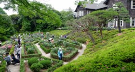 Kyu Furukawa Teien (Tokyo), vue sur le jardin de roses en fleurs devant l'ancienne résidence Furukawa