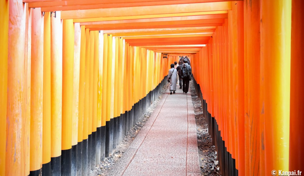 Fushimi Inari Taisha &agrave; Kyoto, Tunnel de portes torii en hiver