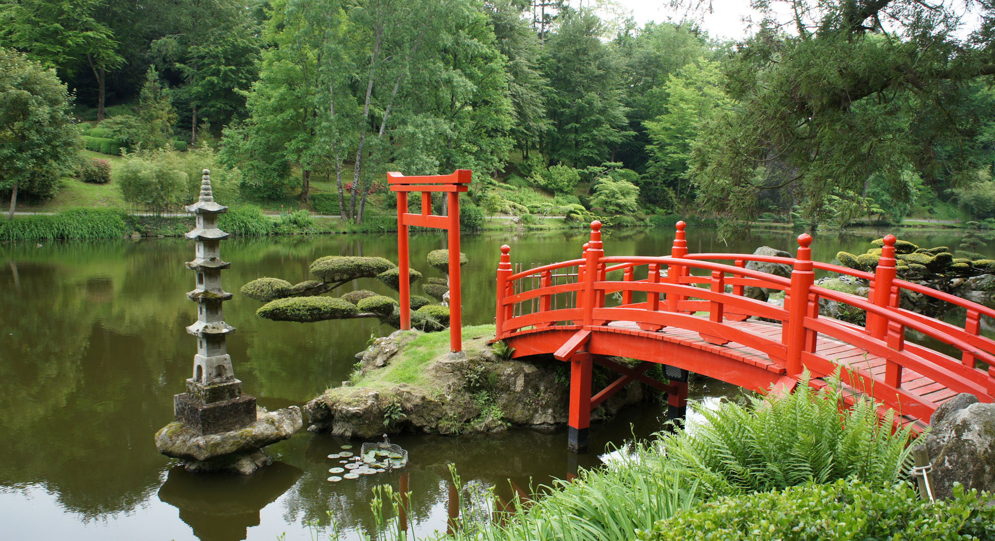 jardin-japon