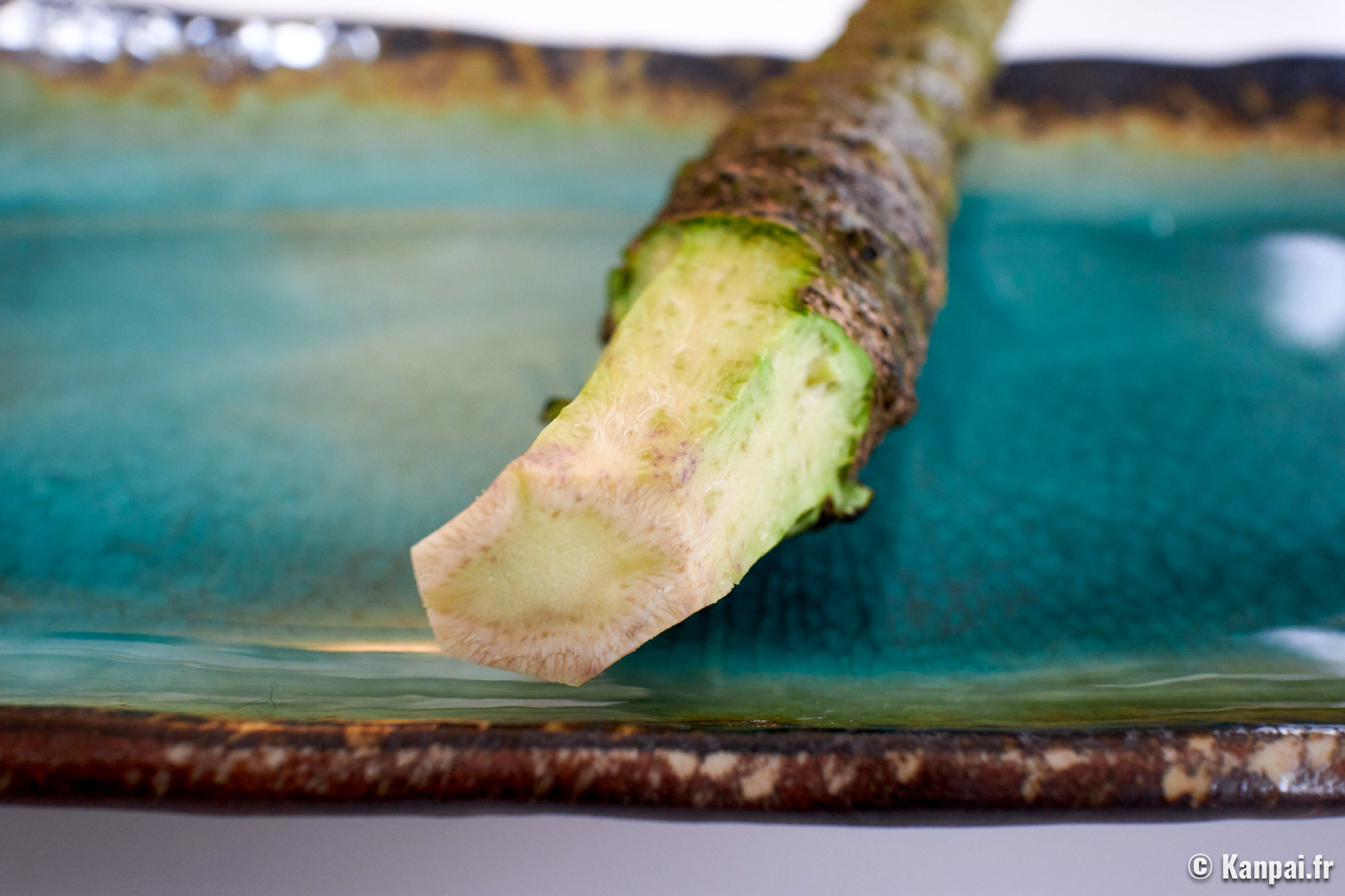 A la découverte du wasabi, l'or vert japonais