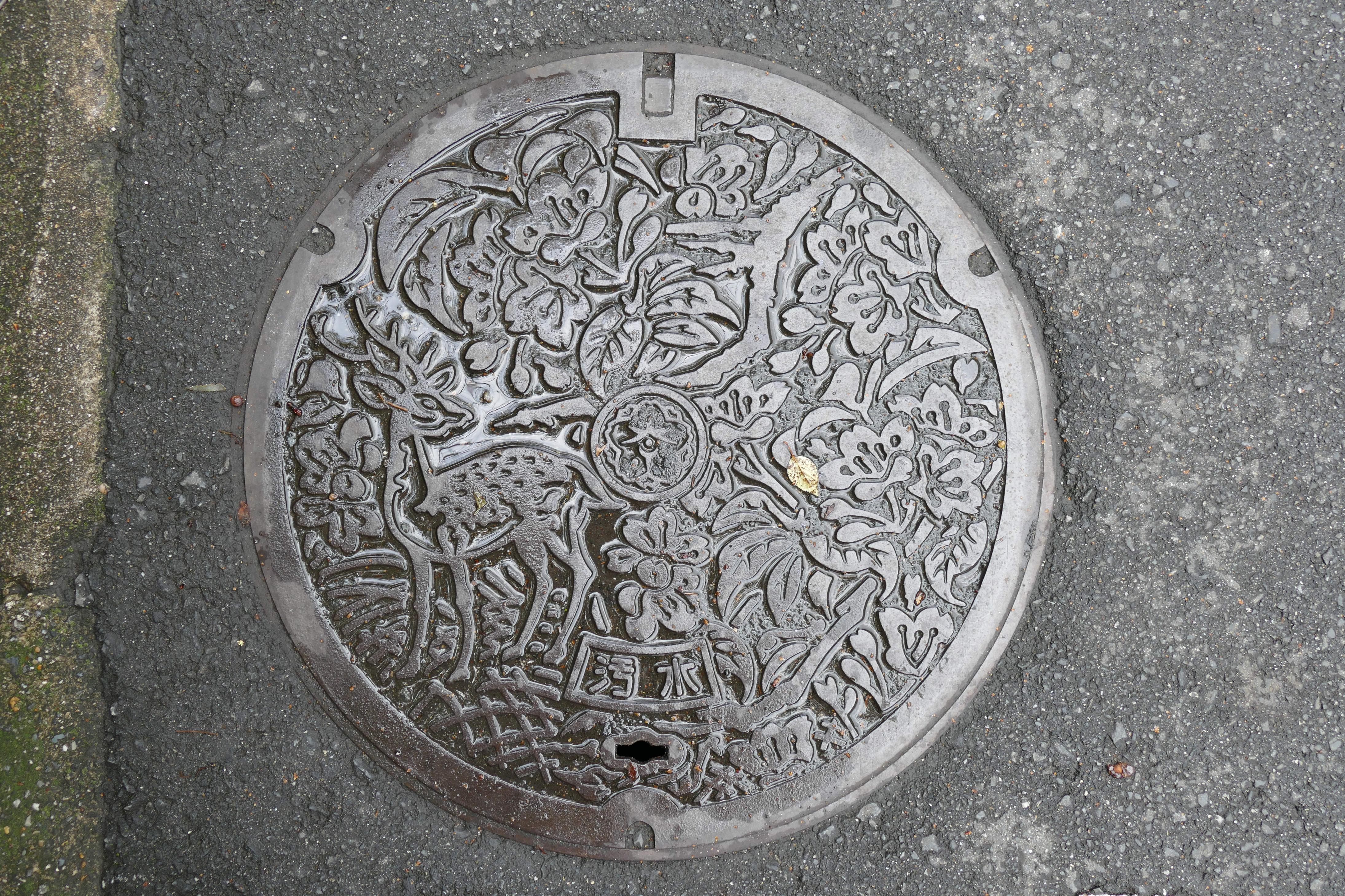 Les plaques d égouts Japonaise